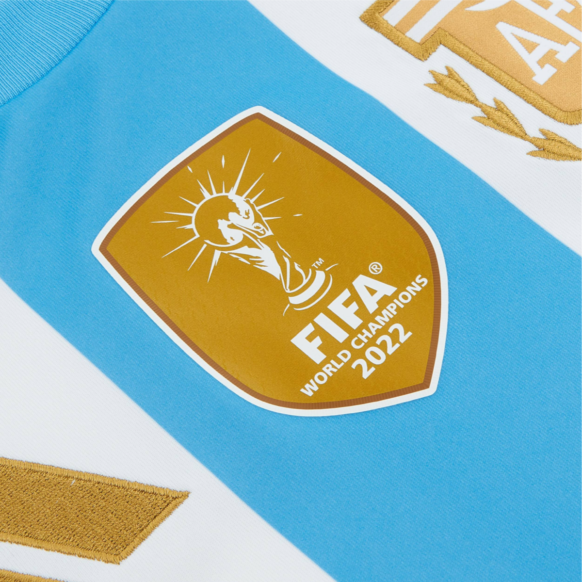 Camiseta local de Argentina 2024
