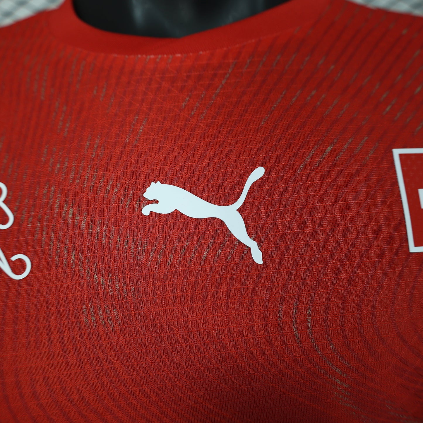 2026 Switzerland Home Kit Players Version